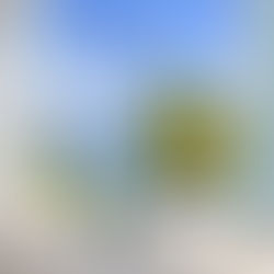 hair Stylist Design H.S.D