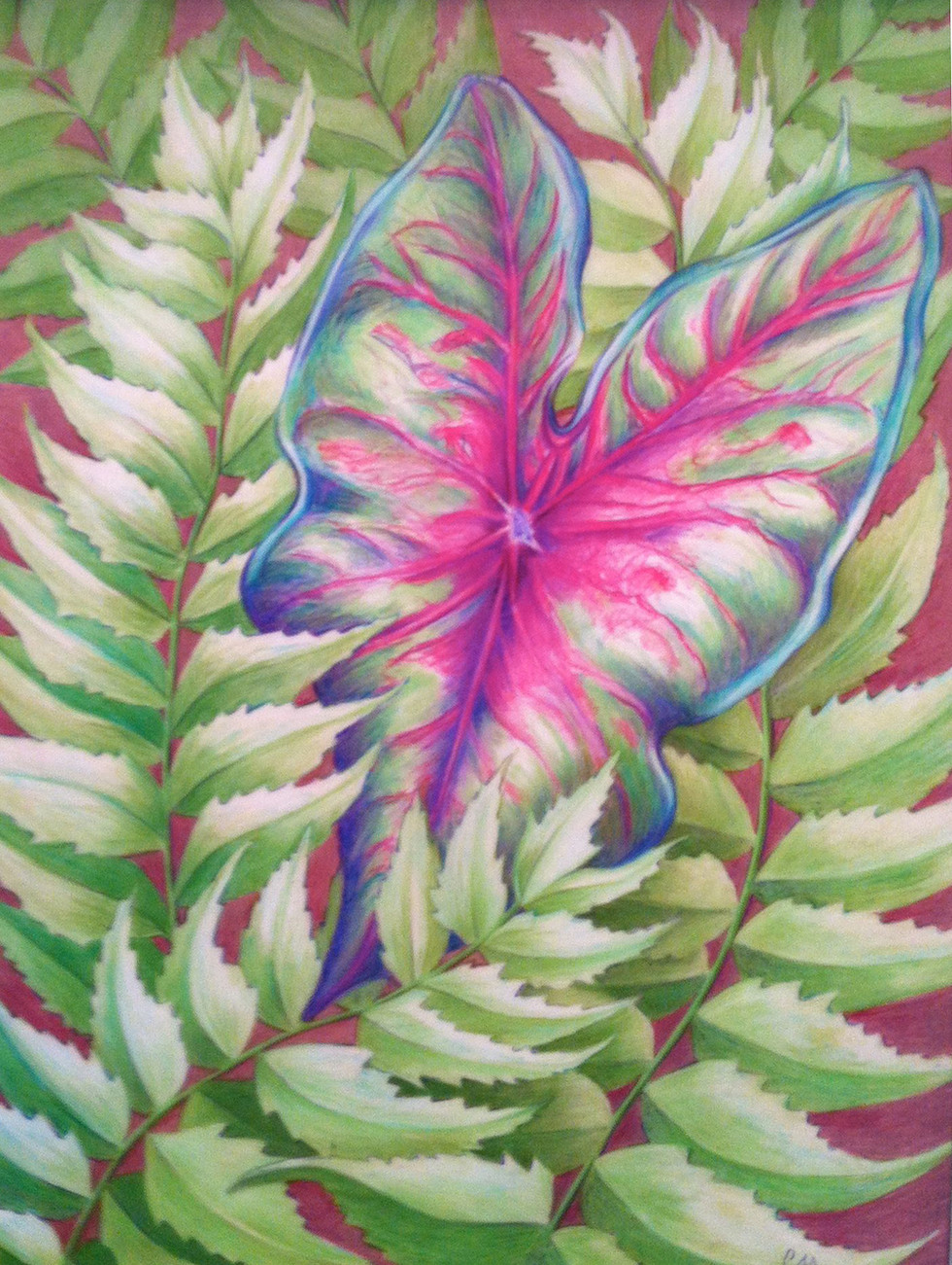 Holly Fern and Caladium11 resized copy.j