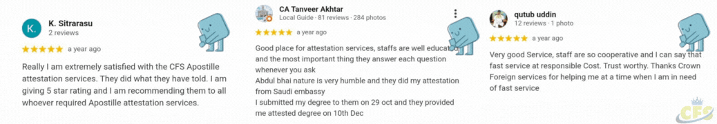 customer review