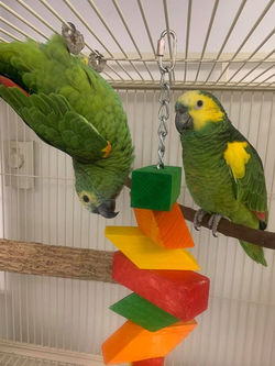 86350941_10158443488479947_6169074991414