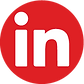 Branded LinkedIn Logo (white)
