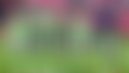 Nigeria vs Brazil, A rivalry rebirth