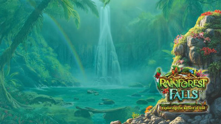 Rainforest-Falls-Promotional-Video.jpg