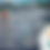 Thumbnail: Sponsoren Zonnebloem