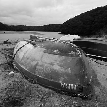 P1010484.jpeg