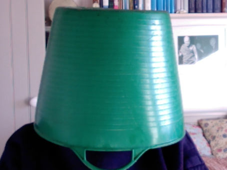 Head in a Bucket
