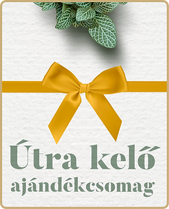 Mindsetup_szolgaltatasaink_AJANDEK_utra_kelo.png