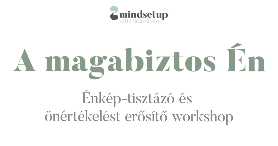 Mindsetup_web_wix_fejlec_A_magabiztos_en_workshop_udvozlet(1).png