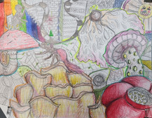 by Haley Baskette
8th grade