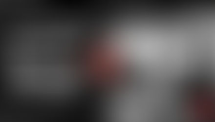 Lineage is Overrated: The Future of BJJ is Decentralized and Technique-Focused (A Devil's Advocate Perspective)