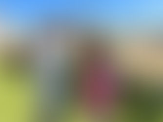 日吉箕輪えほんの森保育園の屋上庭園