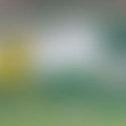 RSC Inter 1 - CD El Álamo 1. De poder a poder