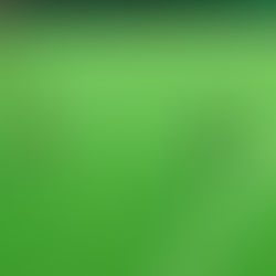 La vida sigue igual..