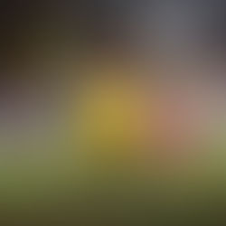 Torneo Fútbol 7 SP&AL (Categoría Benjamín y Pre-benjamin)