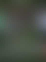 Derrota, tangana y suspensión...