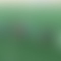 Cumplimos pero... toca esperar...