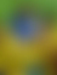 Fin de pruebas: Comienza la Liga!!!