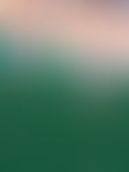 El día de la marmota...