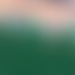 El día de la marmota...