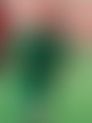 Mario Sánchez, nuevo atacante alameño