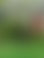 8ª Jornada - La previa