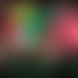 CA Pinto 1 - CD El Álamo 2. En el buen camino...