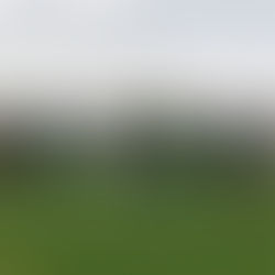 CD El Álamo 2 - CD Fortuna 0. Ya llueve menos...