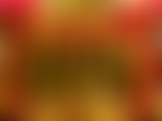 The Future of Daily Fantasy Sports in Florida