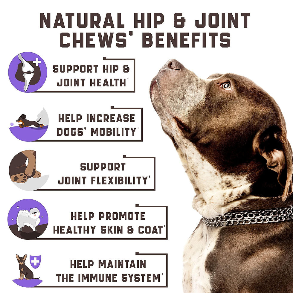 Thumbnail: Glucosamine for Dogs Functional Dog Joint Supplement with Chondroitin Msm Hemp