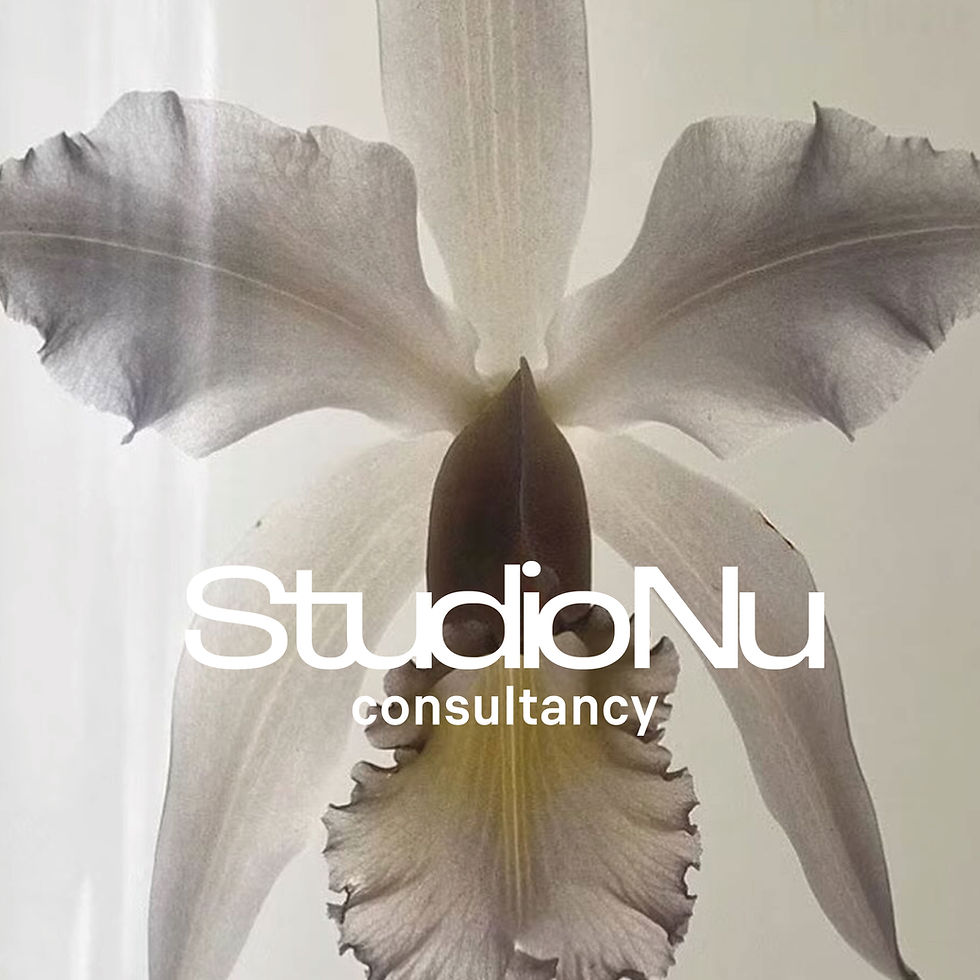 Studio Nu consultancy