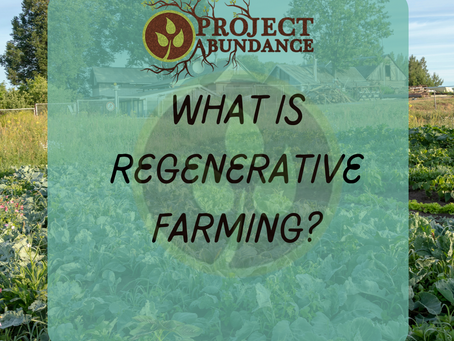 The Basics Of Regenerative Farming