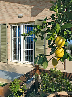 Grata di sicurezza  pandora 