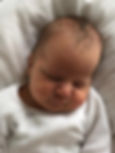 Moos 22-3-2019_edited
