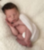 Mitchell 2-12-2017