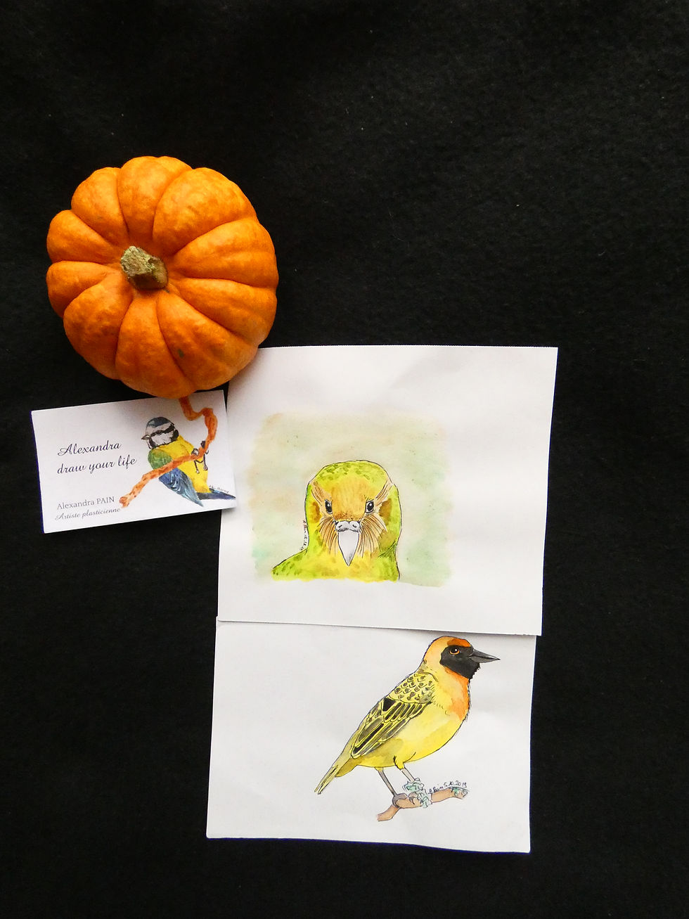 Miniature : Endangered animals watercolor