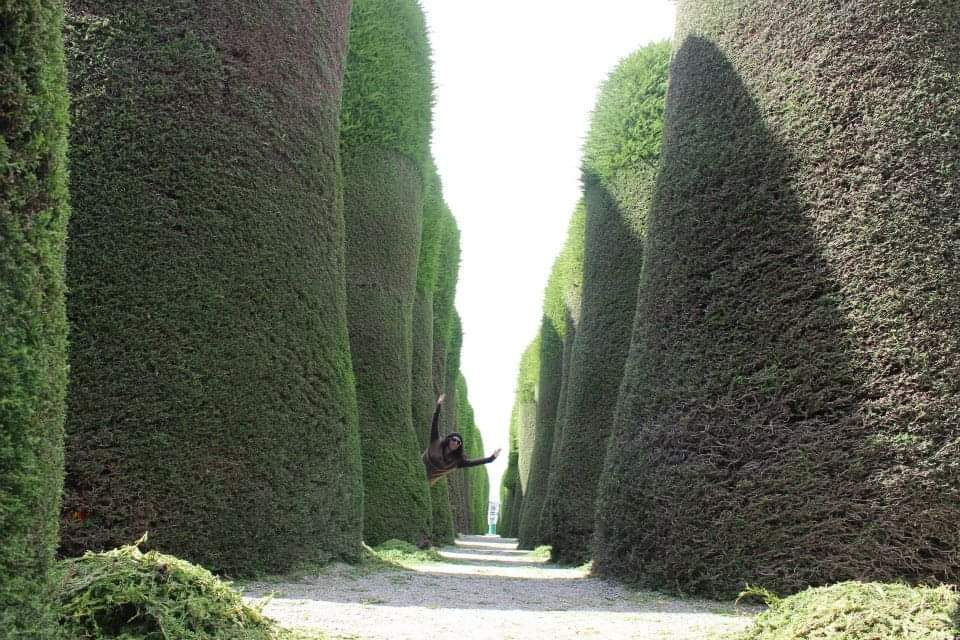 Miniatura: Ruta Trekking Base Torres 