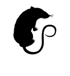 016f0020833297e5629b1c8b7eca7d96-removebg-preview.png