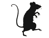 b34ec13d768d7ee1ec5af1d4ece57fbd-removebg-preview.png