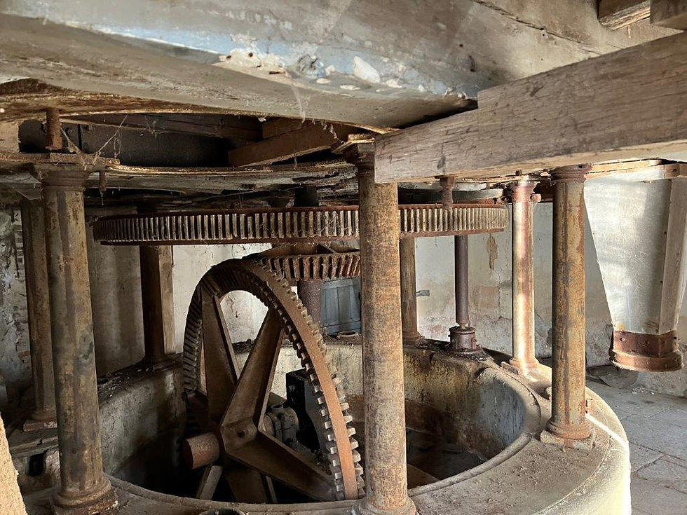 Vous n'êtes jamais allés dans un moulin à eau ? Alors suivez-nous !