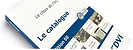 catalog image cdvi.png
