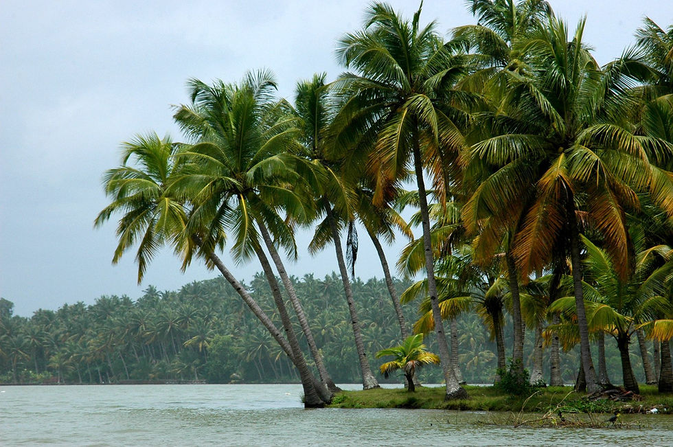 kerala-1352172.jpg