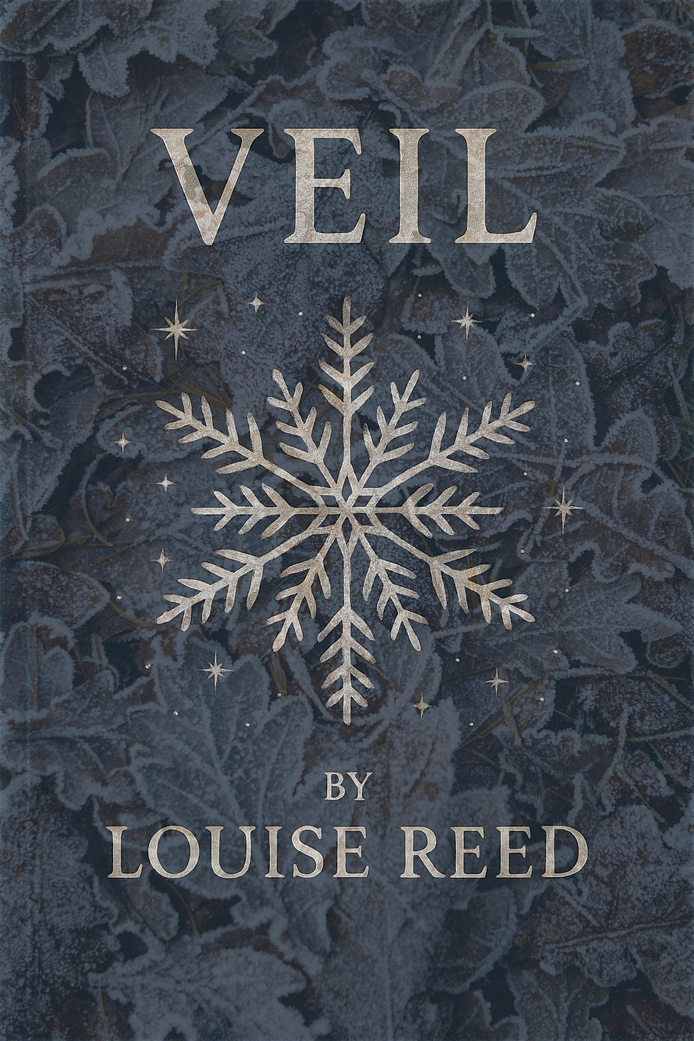 Book cover idea 4_edited.jpg