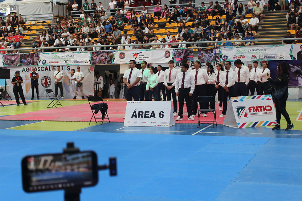 Este sábado inició la actividad de la Copa Nacional JDK de taekwondo en el Gimnasio Olímpico.