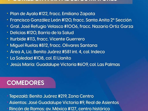 INSTITUTO AGUASCALENTENSE PARA LAS PERSONAS ADULTAS MAYORES.