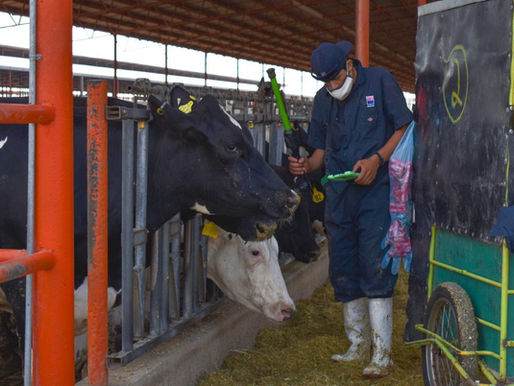 LA SALUD ANIMAL CONTINÚA BLINDADA EN AGUASCALIENTES
