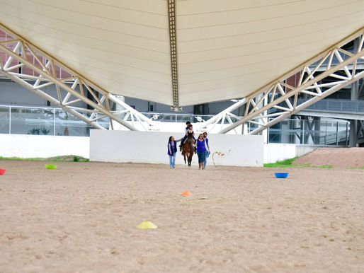 ANIMALES QUE CAMBIAN VIDAS: CONOCE EL CENTRO DE TERAPIA ASISTIDA DEL DIF ESTATAL, PIONERO A NIVEL NACIONAL