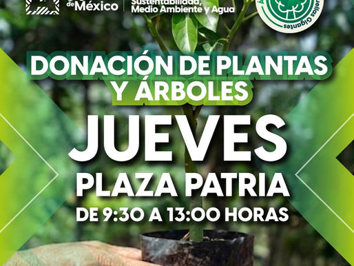 ARRANCA “ÁRBOLES FUERTES, HUELLAS GIGANTES” CON DONACIÓN DE 4 MIL PLANTAS Y ÁRBOLES