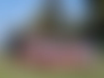 ¡Muchas felicidades al equipo Buffalos Ags.