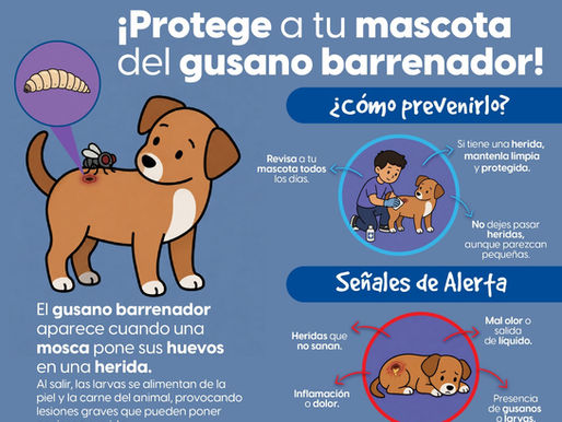¡Revisa a tu mascota todos los días!