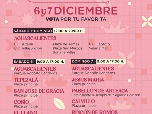 ELECCIONES PARA LA REINA DE LA FNSM